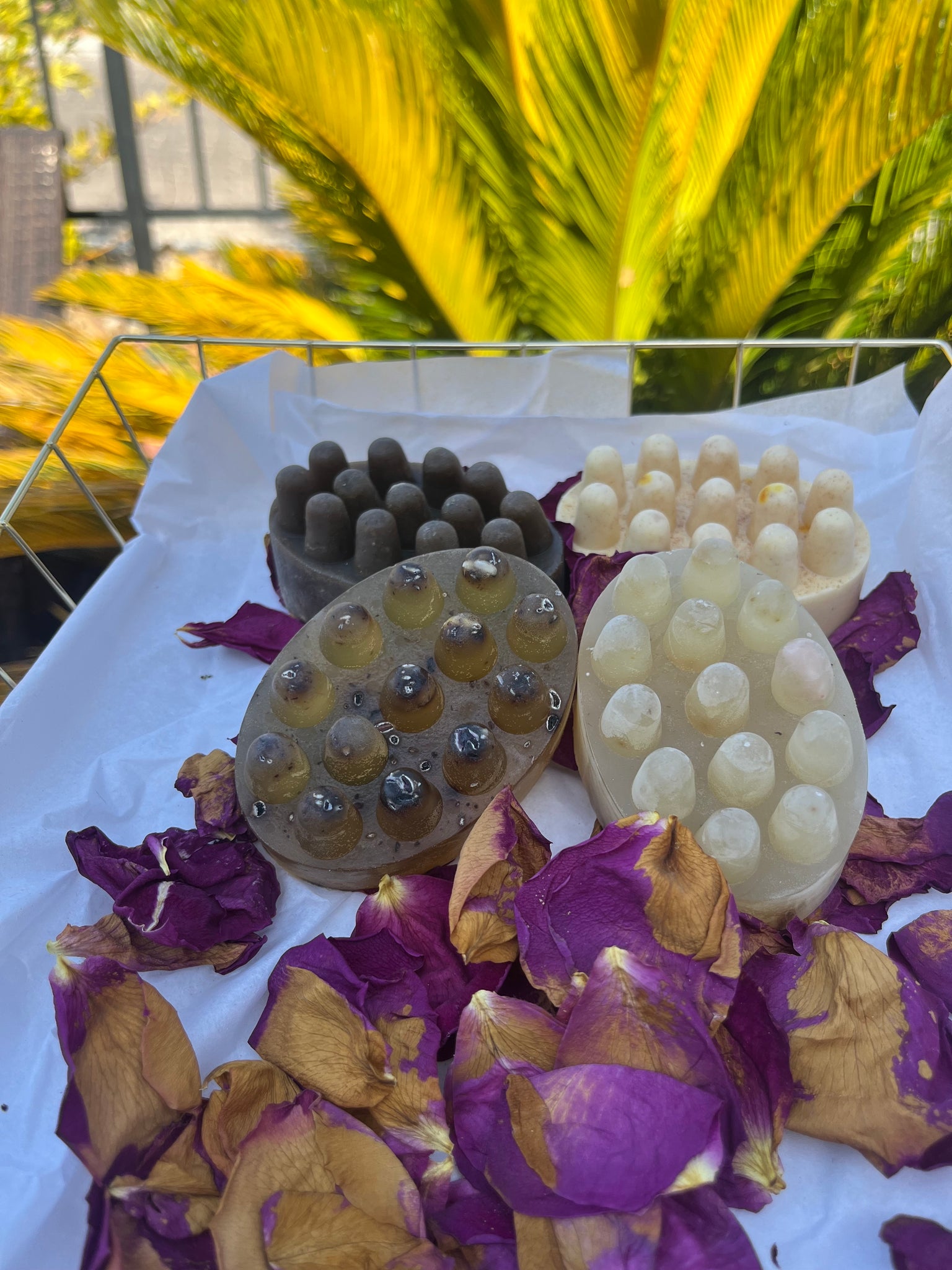 Sea Honey Soap Bundle